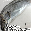 太刀魚 600g（ 瀬戸内海 大分 長崎 ）（ 釣り たちうお タチウオ お刺身 ）