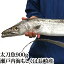 太刀魚 900g （ 山口県周防大島産 もしくは 長崎 のブランド 五島太刀 ） （ 釣り たちうお タチウオ 刺身 生 1尾 特大 ビッグ ）