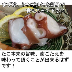 広島産の生真たこMサイズ1.5kg、半生にボイルしたお刺身はたこ本来の旨味、甘み、歯応えが味わえます!ボイルの仕方レシピ付き【半夏生タコ生たこ】