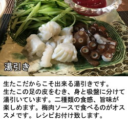 広島産の生真たこMサイズ1.5kg、半生にボイルしたお刺身はたこ本来の旨味、甘み、歯応えが味わえます!ボイルの仕方レシピ付き【半夏生タコ生たこ】