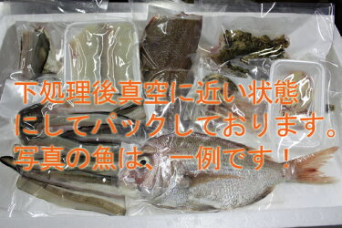 【送料無料】店長おまかせ鮮魚セット!下処理後、真空に近い状態にパック、レシピ付き
