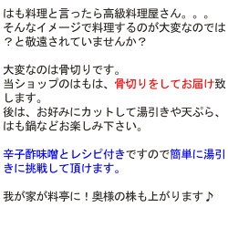 鱧瀬戸内海産600g、湯引き用の辛子酢みそつき、天ぷら、はもしゃぶにも(3〜4人前)活き締め(お中元)RCP