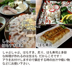 送料無料広島鱧(はも)セット(竹)瀬戸内海産活き締め鱧(はも)600g辛子酢みそ付き・牡蠣の燻製5粒入り(プレミアムスモーク・オイスター)、あなご白焼き50g、あぶり鯛茶漬【楽ギフ_のし】【楽ギフ_メッセ入力】【smtb-KD】【RCP】