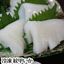 『紋甲いか 1枚（冷凍）』（もんごういか モンゴウイカ 刺身用 寿司 肉厚 恵方巻）