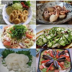 ケンサキイカ九州産約1kg(みずいか剣先いかけんさきいか白いか赤いか)