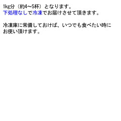 ケンサキイカ九州産約1kg(みずいか剣先いかけんさきいか白いか赤いか)