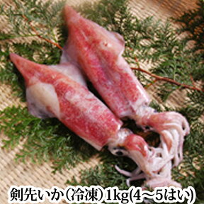 『水いか（剣先イカ）約1kg（冷凍）』（長崎県産） （水いか みずいか 剣先いか けんさきいか 白いか 赤いか 刺身 船凍 国産）