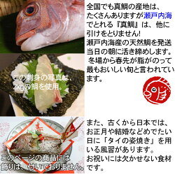 天然活け鯛瀬戸内海産1kg【地鎮祭に喜ばれているサイズです】