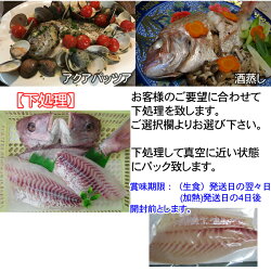 天然活け鯛瀬戸内海産1kg【地鎮祭に喜ばれているサイズです】