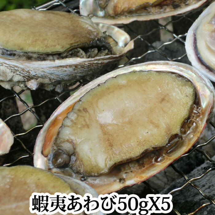 あわび 蝦夷 （養殖 活き えぞあわび エゾアワビ 鮑 ） 1個約50gX5個【 アワビの捌き方付き 海鮮 バーベキューにも】