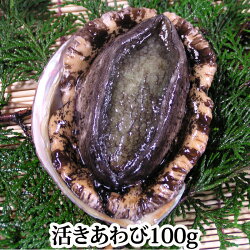 瀬戸内海産活きアワビ(あわび)1個100g