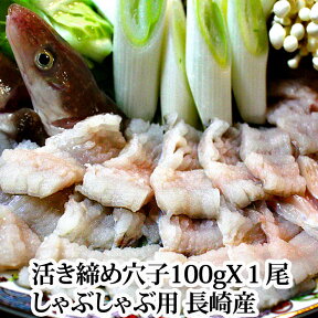 『活き締め 穴子（あなご）しゃぶしゃぶ用（1尾100g前後）1人前』（長崎県産）しゃぶしゃぶ用に骨切り済み。骨付き（生 アナゴ 国産 広島 お土産 名産 ギフト プレゼント 鍋）