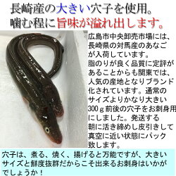 長崎産穴子刺身用(あなご)(1尾300g前後国産活き締め生)3〜4人前