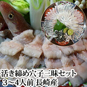 『活き締め 穴子三昧セット（3～4人前）長崎県産』（焼きだし付き！）あなごの「しゃぶしゃぶ」と「刺身」のセットです。（生 穴子 あなご アナゴ 国産）