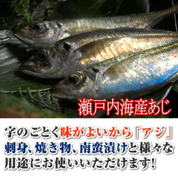 アジ 瀬戸内海産 Sサイズ（130〜150g） ( 鯵 あじ 刺身 生 )