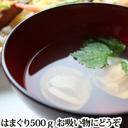 『はまぐり 活き（500g）』（約20個）（お食い初め 百日祝い 蛤 ハマグリ 潮汁 酒蒸し お吸い物 和風 パスタ ボンゴレビアンコ）