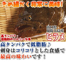 天然ヒラメ700g、山口県周防大島産もしくは山陰産(平目ひらめ)