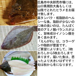 天然ヒラメ700g、山口県周防大島産もしくは山陰産(平目ひらめ)