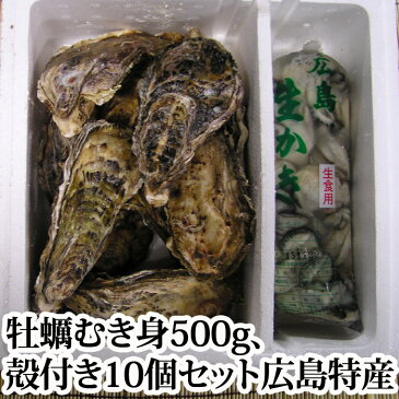 送料無料 広島特産 牡蠣 むき身（生）500g　殻付き（　かき　）10個セット、軍手、牡蠣牡蠣ナイフ付き カキ お歳暮 化粧箱 ギフト 用 広島 【smtb-KD】【楽ギフ_のし宛書】【楽ギフ_包装】