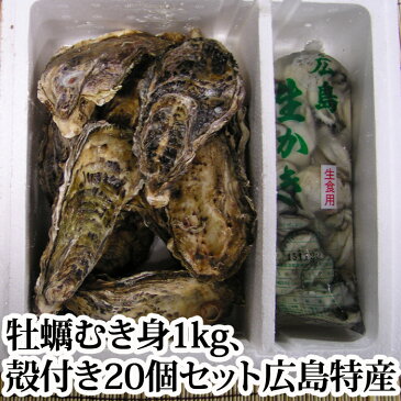 送料無料 広島特産 牡蠣 むき身（生）1kg・ かき小町 、殻付き（かき）20個セット、軍手、牡蠣牡蠣ナイフ付き カキ お歳暮 化粧箱 ギフト 用 広島 【smtb-KD】【楽ギフ_のし宛書】【楽ギフ_包装】【RCP】