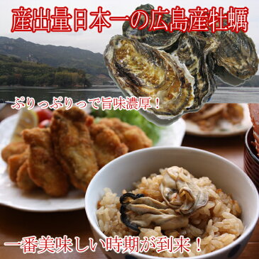 送料無料 広島特産「 かき小町 」　殻付き 牡蠣 （ かき ）30個入り、軍手、牡蠣牡蠣ナイフ付き カキ お歳暮 化粧箱 ギフト 用 広島 【smtb-KD】【楽ギフ_のし宛書】【楽ギフ_包装】【RCP】