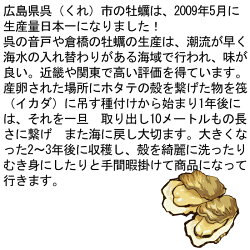早割価格送料無料お歳暮広島特産牡蠣むき身1kg