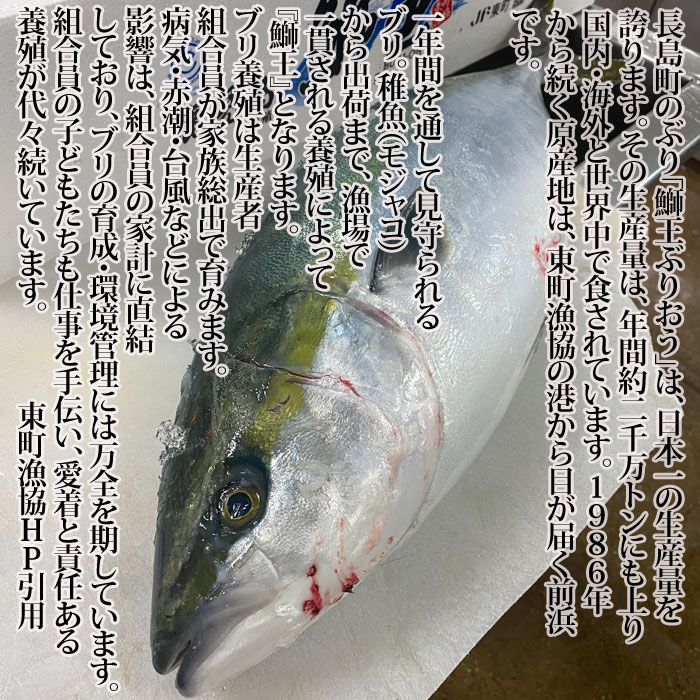 瀬戸内たいたいCLUBの『養殖 ぶり (ブリ) 約1kg (1尾約4kgの4分の1) 鹿児島産もしくは瀬戸内産』(ぶり 鰤 鮮魚 生魚 刺身 年末年始 お正月 恵方巻）｜アングル3