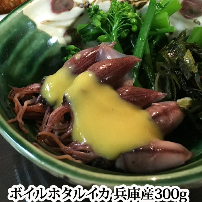 ボイル ホタルイカ 新物（ ほたるいか ）300g 辛子酢味噌付き 日本海産 蛍烏賊
