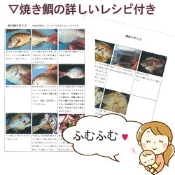 お食い初め セット 料理 ( 焼き鯛 の加工も承ります)祝い膳セット・赤飯(天然鯛・赤飯・はまぐり・魚の酢漬け・ゆでタコ足・かまぼこ・歯固め石・えび・鯛かご、飾り、赤飯容器、祝い箸 ) レシピ