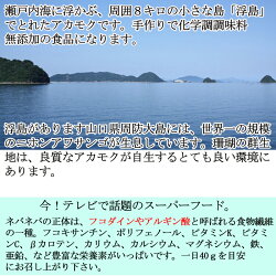 瀬戸内海産あかもく80gX35パック冷凍