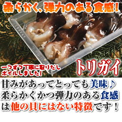トリガイ(とりがいとり貝)(大阪湾国産)6枚X23D冷凍