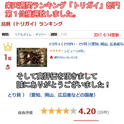 トリガイ(とりがい・とり貝)(愛知、岡山、広島産などの国産)