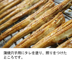 瀬戸内海あなご白焼き50gが3個(わさび、刺身醤油付き)とあなご蒲焼き60gが3個(タレ付き)の焼きあなごギフトセット(冷凍)【RCP】