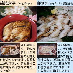 瀬戸内海あなご白焼き50gが3個(わさび、刺身醤油付き)とあなご蒲焼き60gが3個(タレ付き)の焼きあなごギフトセット(冷凍)【RCP】