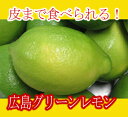 広島 グリーンレモン 1個 （ ばら売り 単品販売 ）皮まで安心して食べられるのでレモン塩にもどうぞ【 国産 】【RCP】【 瀬戸内レモン 】