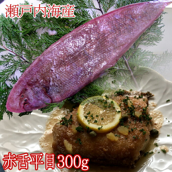 【父の日ギフトに！】『赤舌平目 約300g（瀬戸内海産）（2人前）』（レンチョウカレイ れんちょう かれい したびらめ シタビラメ）