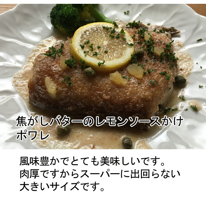 『赤舌平目 (アカシタビラメ) 約300g (2人前) 瀬戸内海産』(レンチョウ カレイ れ...