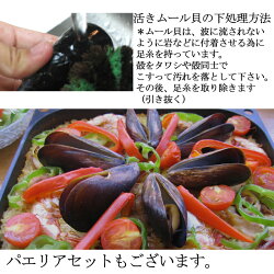 ムール貝活き(国産、広島県宮島産・宮島ムール貝)1kgただ今、宮島ムール欠品につき岡山産