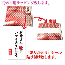 瀬戸鉄工の選べる焼きだし2袋(出汁無漂白パック化学調味料不使用)【ネコポスのみ送料無料母の日】