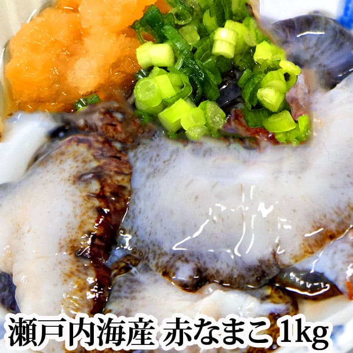【12/21まで！】【販売開始しました！』『赤なまこ 活き 1kg 瀬戸内海産』※海水の入った袋に活かしてのお届けですので、1kgは海水込みの重さです (生 なまこ ナマコ 海鼠 赤)のサムネイル