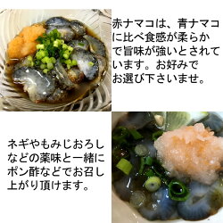 青なまこ(瀬戸内海産ナマコ)900g(300gX3袋)
