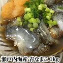 青なまこ 活き 瀬戸内海産 1kg ナマコ 海鼠 なまこ 青 生