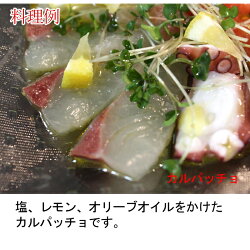 瀬戸内海産しまあじ(養殖)1kg(シマアジ沖アジ)