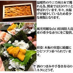 うに生山口県周防大島産あかうに赤ウニ40g