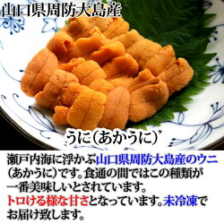 うに生山口県周防大島産あかうに赤ウニ40g
