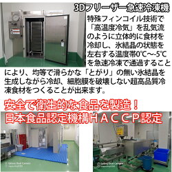 トリガイ(とりがいとり貝)(大阪湾国産)6枚X23D冷凍