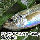 『アジ Lサイズ 1尾 (約300〜350g) 瀬戸内海産』(鯵 あじ 刺身)