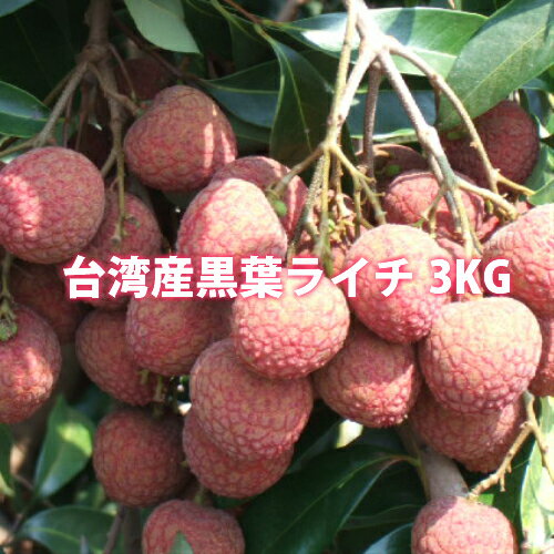 黒葉ライチ3kg台湾産期間限定・数量限定・送料無料
