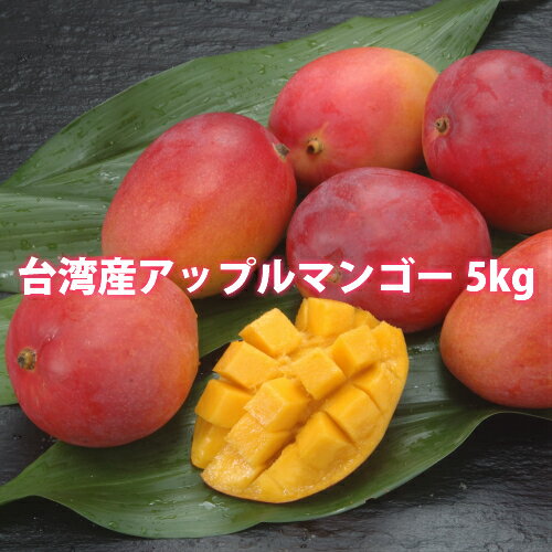  䒆 Mtg Abv}S[ pY 5kg  