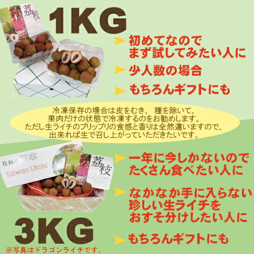 ドラゴンライチ（玉荷包）3kg台湾産期間限定・数量限定・送料無料